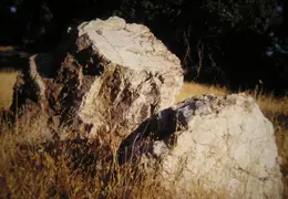 A Day in the Life of Mt Diablo 023