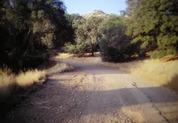 A Day in the Life of Mt Diablo 024