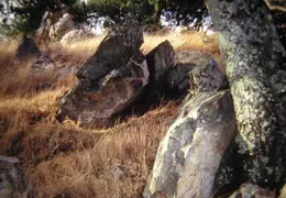 A Day in the Life of Mt Diablo 026
