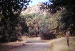A Day in the Life of Mt Diablo 043