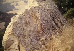 A Day in the Life of Mt Diablo 048