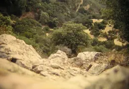 A Day in the Life of Mt Diablo 050