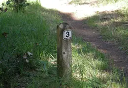 Angel Island Camp 3 01