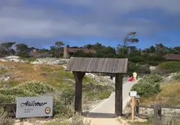 Asilomar July 2010 001