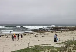 Asilomar July 2010 010