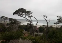 Asilomar July 2010 031