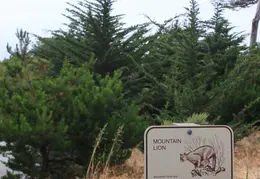 Asilomar July 2010 036