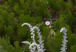 Asilomar July 2010 041