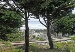 Asilomar July 2011 040