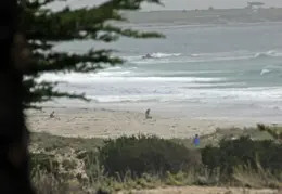 Asilomar July 2011 041
