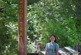 Big Basin Redwoods State Park 2004