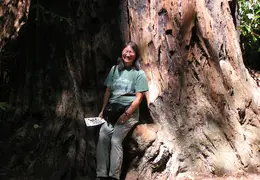 Big Basin Redwoods State Park 2004 021