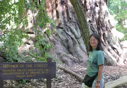 Big Basin Redwoods State Park 2004 038