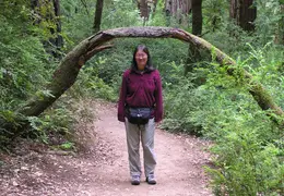 Big Basin Redwoods State Park 2004 049
