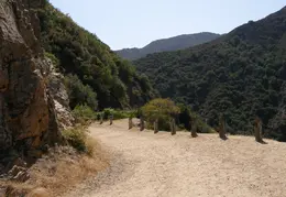 Arroyo Seco Campground June 2007 007