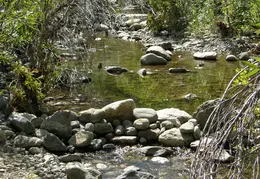 Arroyo Seco Campground June 2007 010