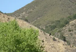 Arroyo Seco Campground June 2007 018