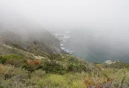 Big Sur June 2007