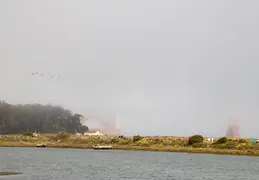 Fort Point Living Civil War Days 2018 018