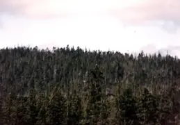 Alaska 1990 029