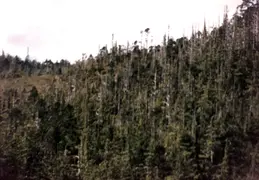 Alaska 1990 031