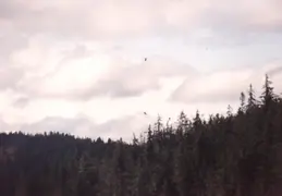 Alaska 1990 034