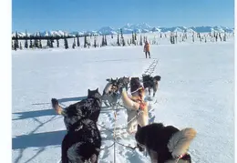 Alaska Skagway 04