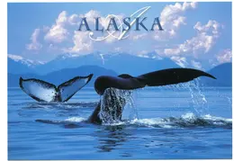 Alaska Cruise 2020