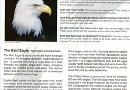 Chilkat Bald Eagle Preserve Haines AK 1
