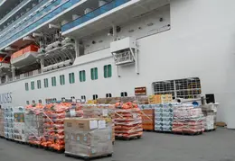 Bon Voyage Experience Grand Princess May 2017