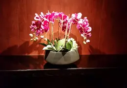 Hawaii Cruise April 2016 0006