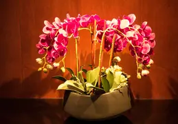 Hawaii Cruise April 2016 0032