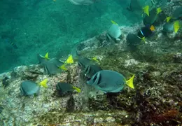 Mexican Riviera Cruise 2015