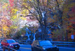 07 Catskill 20252019