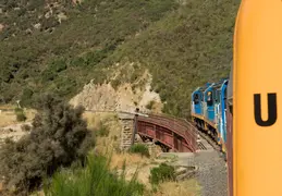 New Zealand Cruise 20190317 Dunedin
