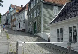 Norway Cruise 2017 03 Bergen