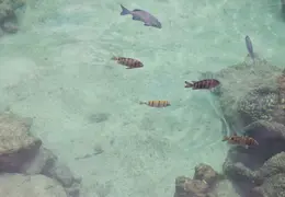 Tahiti Cruise 2013 0006