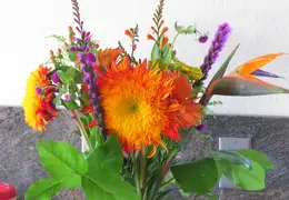 anniversary no9 004