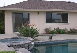 Bird Of Paradise Our House 02