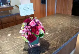 20150204 164457 Lori Turley