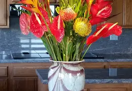 20150212 145138