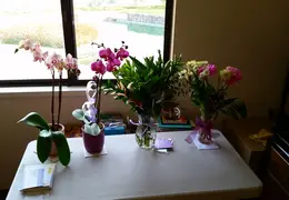 20150317 082108 home from kaiser