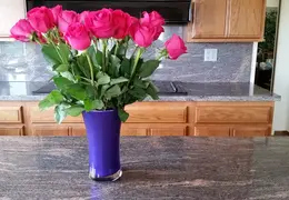 20150425 114322