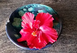 20150617 114138
