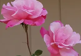 20161022 104803