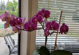 20170611 185032