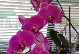 20170611 185101