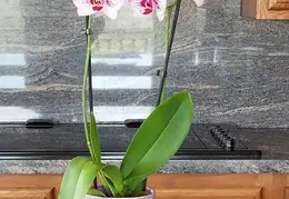 20170814 113340