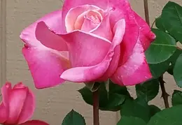 20180415 153349