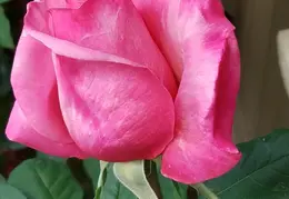 20180415 153416